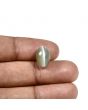 Quartz Cat's Eye (Lehsunia) Carat 6.09 