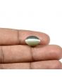 Quartz Cat's Eye (Lehsunia) Carat 7.96 