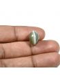 Quartz Cat's Eye (Lehsunia) Carat 7.96 