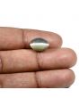 Quartz Cat's Eye (Lehsunia) Carat 7.26 
