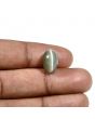 Quartz Cat's Eye (Lehsunia) Carat 7.26 