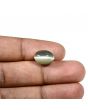 Quartz Cat's Eye (Lehsunia) Carat 6.43 