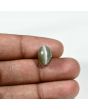 Quartz Cat's Eye (Lehsunia) Carat 6.43 