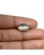 Quartz Cat's Eye (Lehsunia) Carat 5.84 