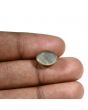 Quartz Cat's Eye (Lehsunia) Carat 6.49 
