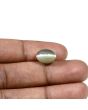 Quartz Cat's Eye (Lehsunia) Carat 6.99 