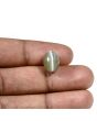 Quartz Cat's Eye (Lehsunia) Carat 6.99 