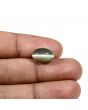 Quartz Cat's Eye (Lehsunia) Carat 5.98 