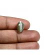 Quartz Cat's Eye (Lehsunia) Carat 5.98 