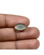 Quartz Cat's Eye (Lehsunia) Carat 5.98 