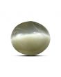 Quartz Cat's Eye (Lehsunia) Carat 6.34 