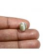 Quartz Cat's Eye (Lehsunia) Carat 6.03 