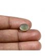 Quartz Cat's Eye (Lehsunia) Carat 6.03 