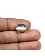Quartz Cat's Eye (Lehsunia) Carat 6.3 