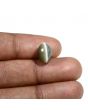 Quartz Cat's Eye (Lehsunia) Carat 5.64 