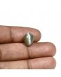 Quartz Cat's Eye (Lehsunia) Carat 6.01 
