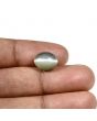 Quartz Cat's Eye (Lehsunia) Carat 6.1 