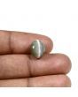 Quartz Cat's Eye (Lehsunia) Carat 6.1 