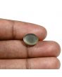 Quartz Cat's Eye (Lehsunia) Carat 6.1 