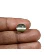Quartz Cat's Eye (Lehsunia) Carat 6.63 