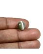 Quartz Cat's Eye (Lehsunia) Carat 6.63 