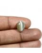 Quartz Cat's Eye (Lehsunia) Carat 6.34 