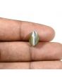 Quartz Cat's Eye (Lehsunia) Carat 4.63 