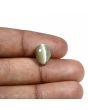 Quartz Cat's Eye (Lehsunia) Carat 5.35 