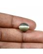 Quartz Cat's Eye (Lehsunia) Carat 7.05 