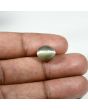 Quartz Cat's Eye (Lehsunia) Carat 5.82 
