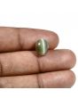 Quartz Cat's Eye (Lehsunia) Carat 5.82 