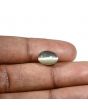 Quartz Cat's Eye (Lehsunia) Carat 4.48 