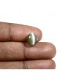 Quartz Cat's Eye (Lehsunia) Carat 5.6 
