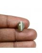 Quartz Cat's Eye (Lehsunia) Carat 4.8 