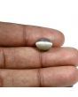 Quartz Cat's Eye (Lehsunia) Carat 5.14 