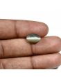 Quartz Cat's Eye (Lehsunia) Carat 4.25 