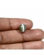 Quartz Cat's Eye (Lehsunia) Carat 5.54 