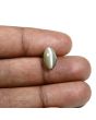 Quartz Cat's Eye (Lehsunia) Carat 3.88 