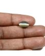 Quartz Cat's Eye (Lehsunia) Carat 4.13 