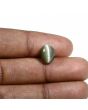 Quartz Cat's Eye (Lehsunia) Carat 4.09 