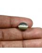 Quartz Cat's Eye (Lehsunia) Carat 6.85 