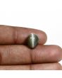 Quartz Cat's Eye (Lehsunia) Carat 6.85 