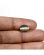 Quartz Cat's Eye (Lehsunia) Carat 4.23 