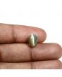 Quartz Cat's Eye (Lehsunia) Carat 4.23 