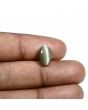 Quartz Cat's Eye (Lehsunia) Carat 4.18 