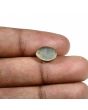 Quartz Cat's Eye (Lehsunia) Carat 4.47 