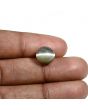 Quartz Cat's Eye (Lehsunia) Carat 6.84 