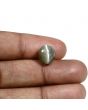 Quartz Cat's Eye (Lehsunia) Carat 6.84 