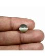 Quartz Cat's Eye (Lehsunia) Carat 4.42 