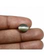 Quartz Cat's Eye (Lehsunia) Carat 5.13 